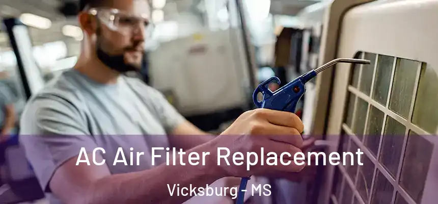  AC Air Filter Replacement Vicksburg - MS