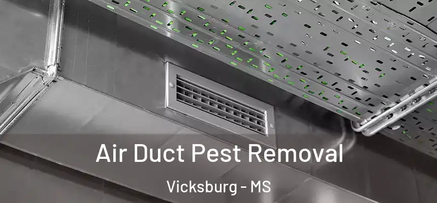  Air Duct Pest Removal Vicksburg - MS