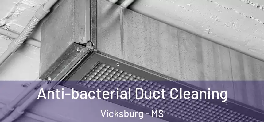 Anti-bacterial Duct Cleaning Vicksburg - MS