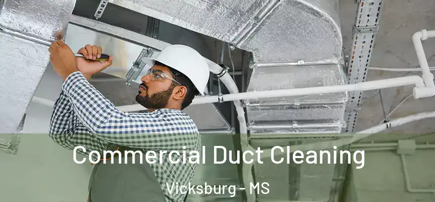 Commercial Duct Cleaning Vicksburg - MS