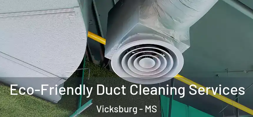 Eco-Friendly Duct Cleaning Services Vicksburg - MS
