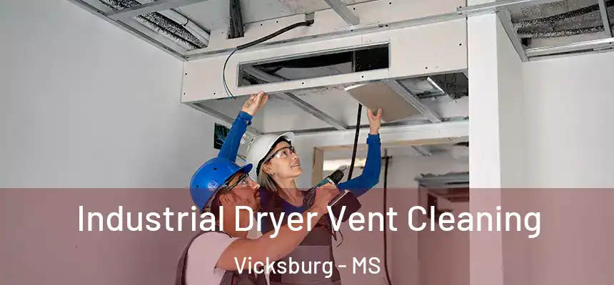 Industrial Dryer Vent Cleaning Vicksburg - MS