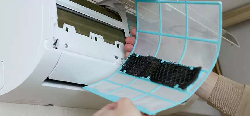 Gentle Ductwork Odor-Control Pet Dander Duct Cleaning in Vicksburg, MS