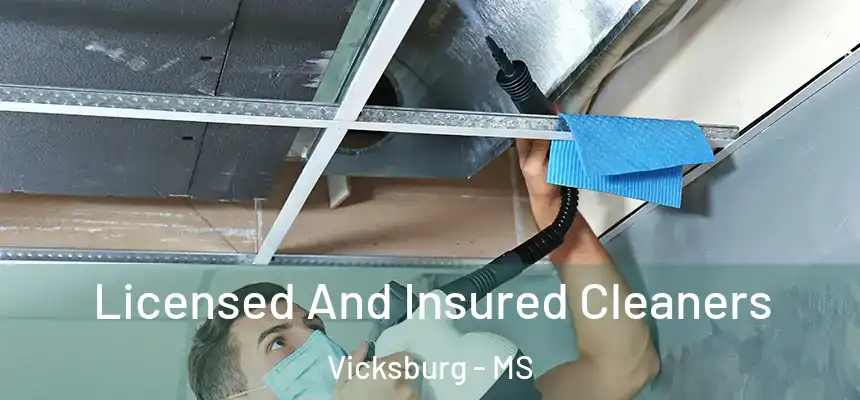 Licensed And Insured Cleaners Vicksburg - MS