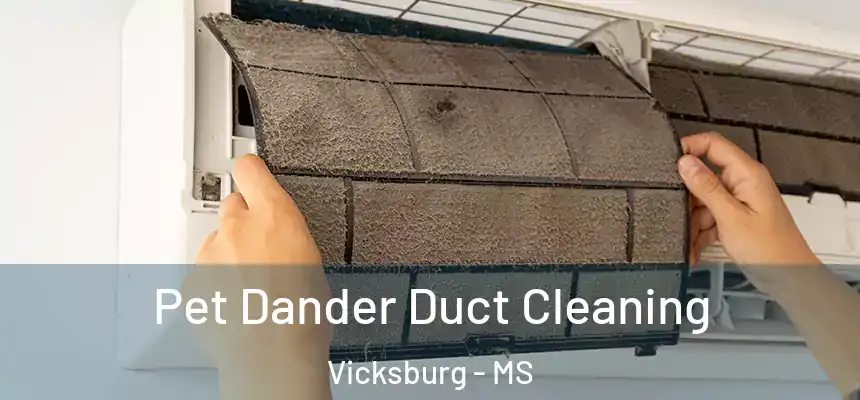 Pet Dander Duct Cleaning Vicksburg - MS