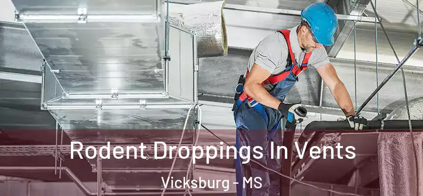  Rodent Droppings In Vents Vicksburg - MS