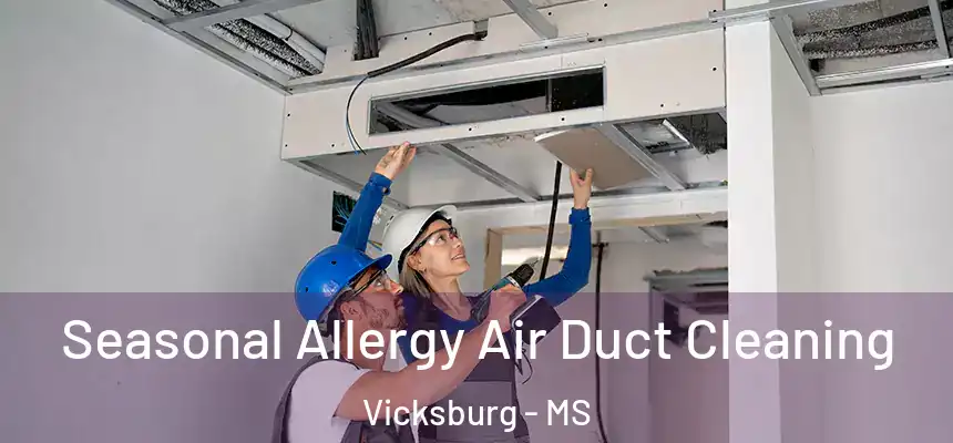 Seasonal Allergy Air Duct Cleaning Vicksburg - MS