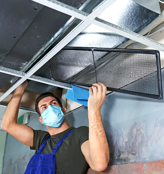 About Air Duct Bacteria Removal in Vicksburg