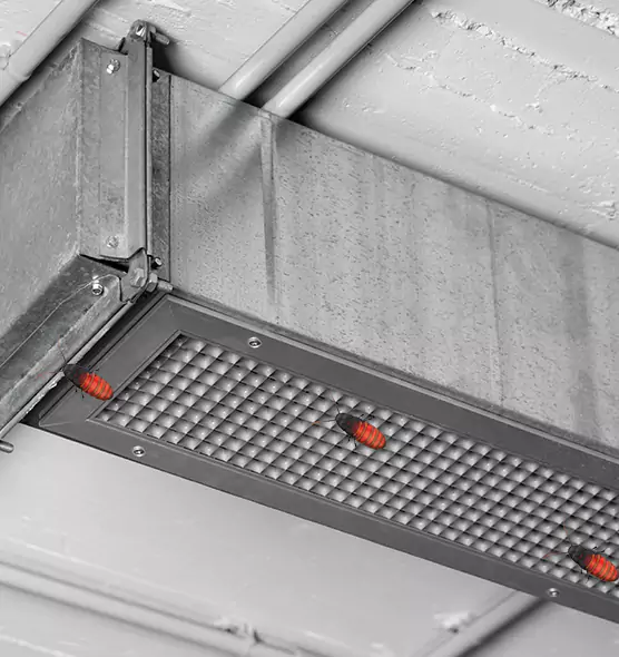 About Air Duct Cockroach Removal in Vicksburg, MS
