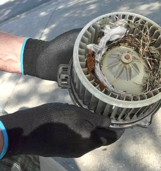 About Air Duct Rat Removal in Vicksburg, MS