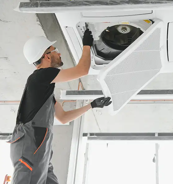 About Air Duct Rodent Removal in Vicksburg, MS