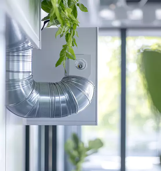 Professional Eco-Safe Dryer Vent Cleaning in Vicksburg, MS