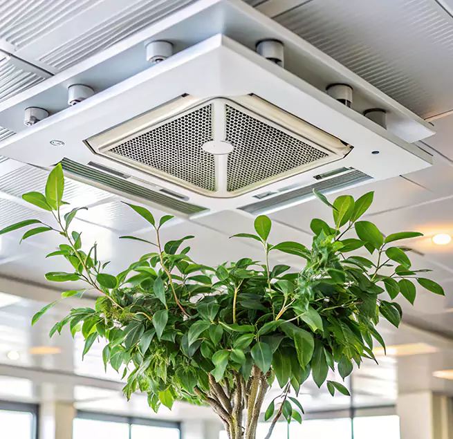 Why Homeowners & Businesses Trust Us in Vicksburg, MS?