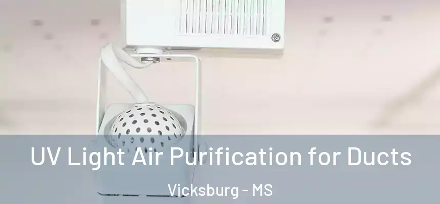  UV Light Air Purification for Ducts Vicksburg - MS